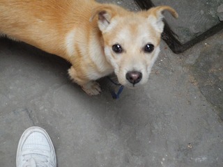 DSCN0873.JPG
