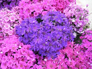 DSCN0651.JPG
