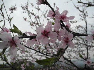 DSCN0366.JPG