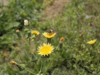 DSCN0469.JPG