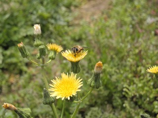 DSCN0470.JPG