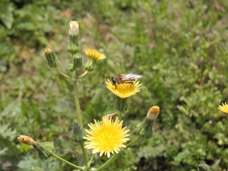 DSCN0471.JPG