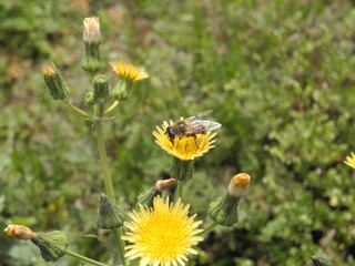 DSCN0472.JPG