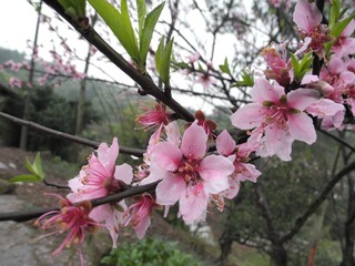 DSCN0323.JPG