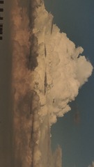 1000001659