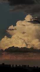1000001667