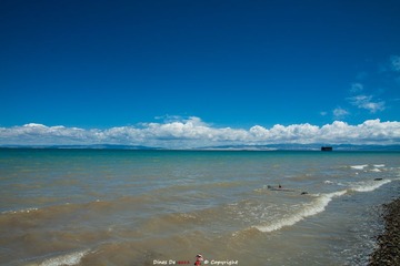 IMG_0452.jpg