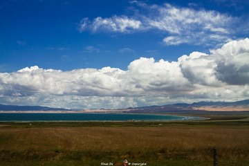 IMG_0375-编辑-2.jpg