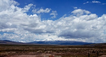 IMG_0501-编辑.jpg