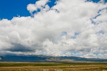 IMG_0502-编辑-2.jpg