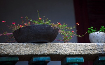 IMG_1241.jpg