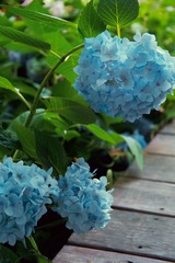 7FB46A68-4A83-458C-AC17-9D76EDA5608D/L0/001