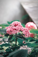 D51273BA-4CBF-48A7-BC1A-394F0B83DCE2/L0/001