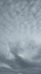 1000102576