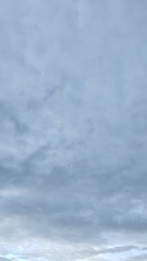 1000102563