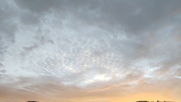 1000102571