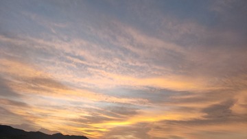 1000105394