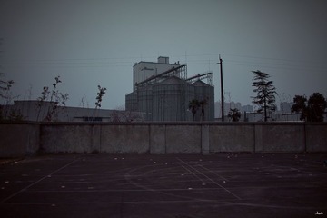 IMG_0811