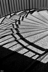 IMG_0617