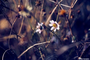 IMG_0587.jpg