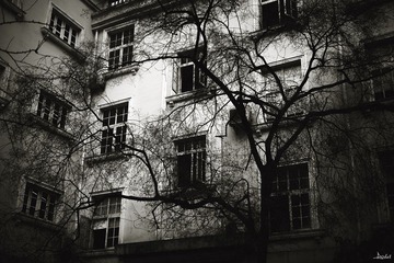 IMG_0288-编辑 copy.jpg