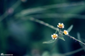 IMG_0226 副本.jpg