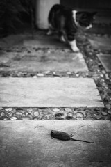 IMG_0302 副本.jpg