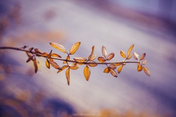 IMG_0055 副本.jpg
