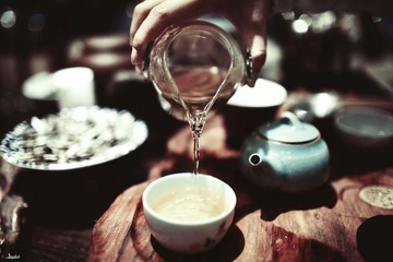 体验茶多酚
