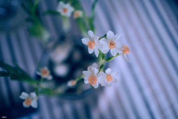 。。