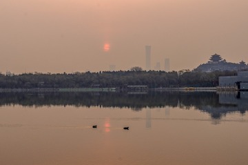 IMG_0347