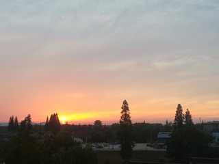 1105010