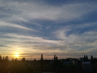 1180935