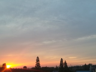 1105006