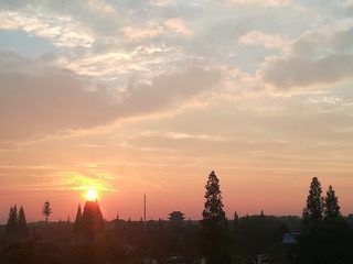 1165907