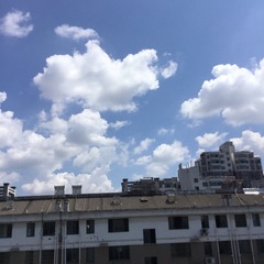 75E9F9EE-F4DC-4C79-8C56-24BD05D64E0C/L0/001