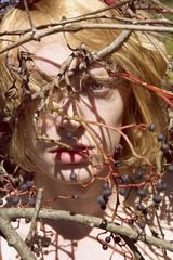 web_Redweed_30x45_2015