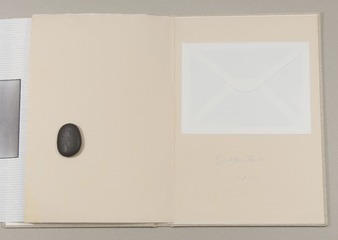 Air  chrysalis Book-24