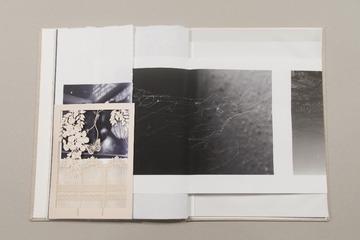 Air  chrysalis Book-17