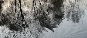 1000003786