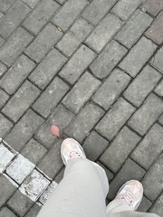 9AAC8406-9CEC-4C94-A679-5B56E5B03152/L0/001