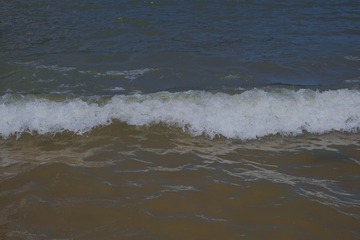 FD264B5F-81D0-4ACA-870D-965747532C5D/L0/001