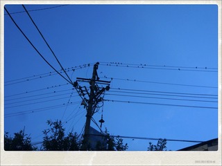 743EE88E-F2E7-43C4-93D2-3E0C9E30B919/L0/001