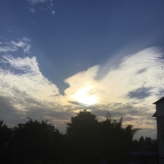 AD244417-C7D4-46CF-B834-6F306E5BC751/L0/001