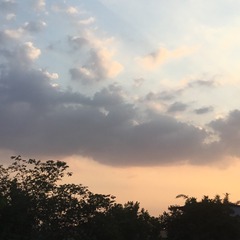 8D708D7F-CF17-43C9-AB90-BFB51D142FA0/L0/001