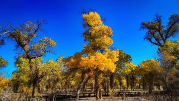 IMG_20151003_151612
