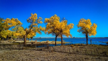 IMG_20151003_142022