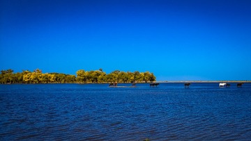 IMG_20151003_153432
