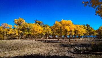 IMG_20151003_142440