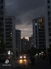 2733363